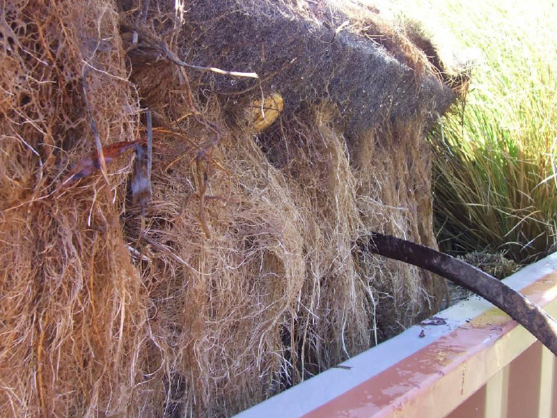 百奧源®浮動(dòng)濕地根系發(fā)達(dá)，密度大大高于人工濕地